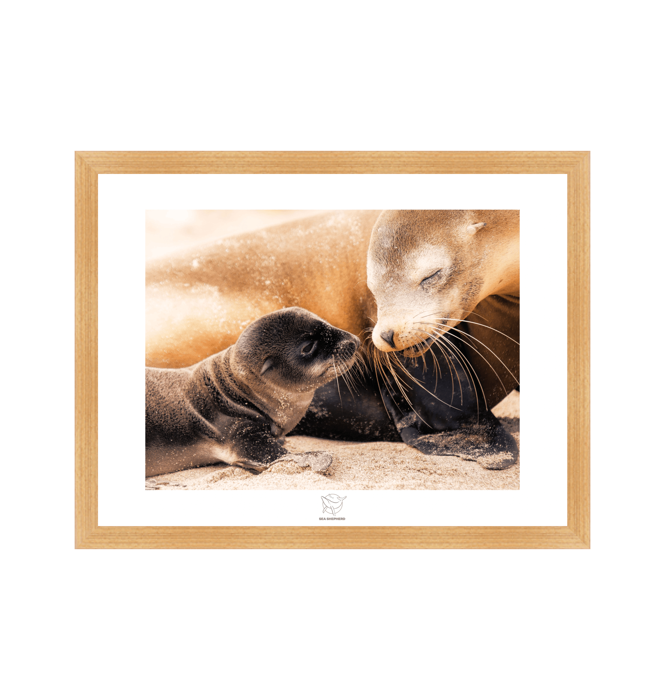 Natural Frame Fine art print Front